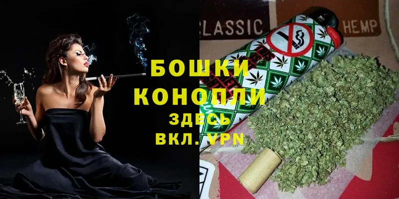 Шишки марихуана OG Kush  Покачи 